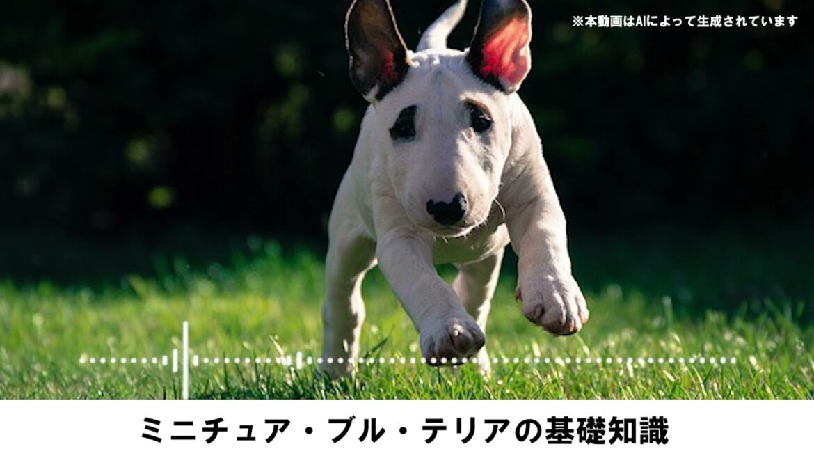 ミニチュア・ブル・テリアの基礎知識