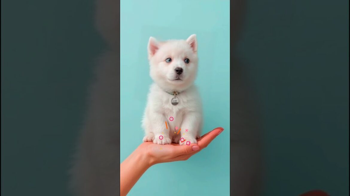 Warning: Extreme Cuteness & Chaos Ahead 😍🐕