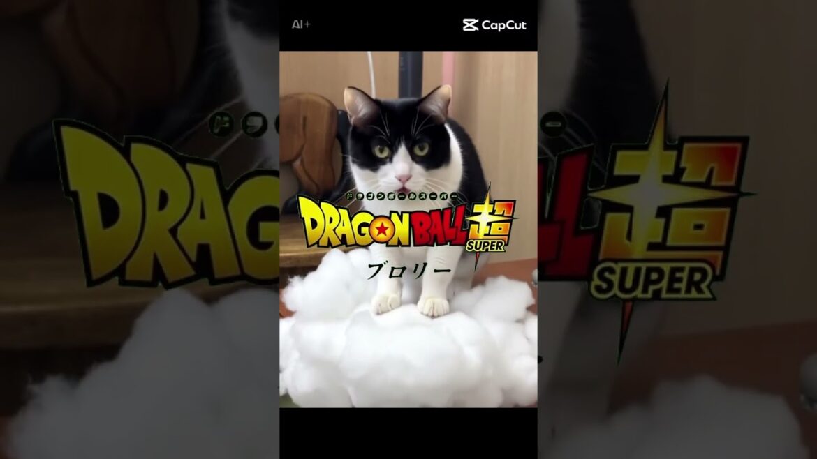 チニくーんどこへ〜