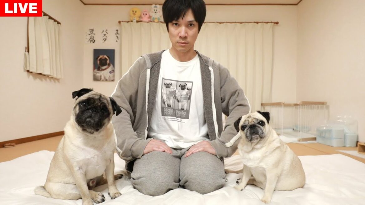 🙏感謝…今週の出来事を話したりする雑談ライブ 🙏感謝…今週の出来事を話したりする雑談ライブ