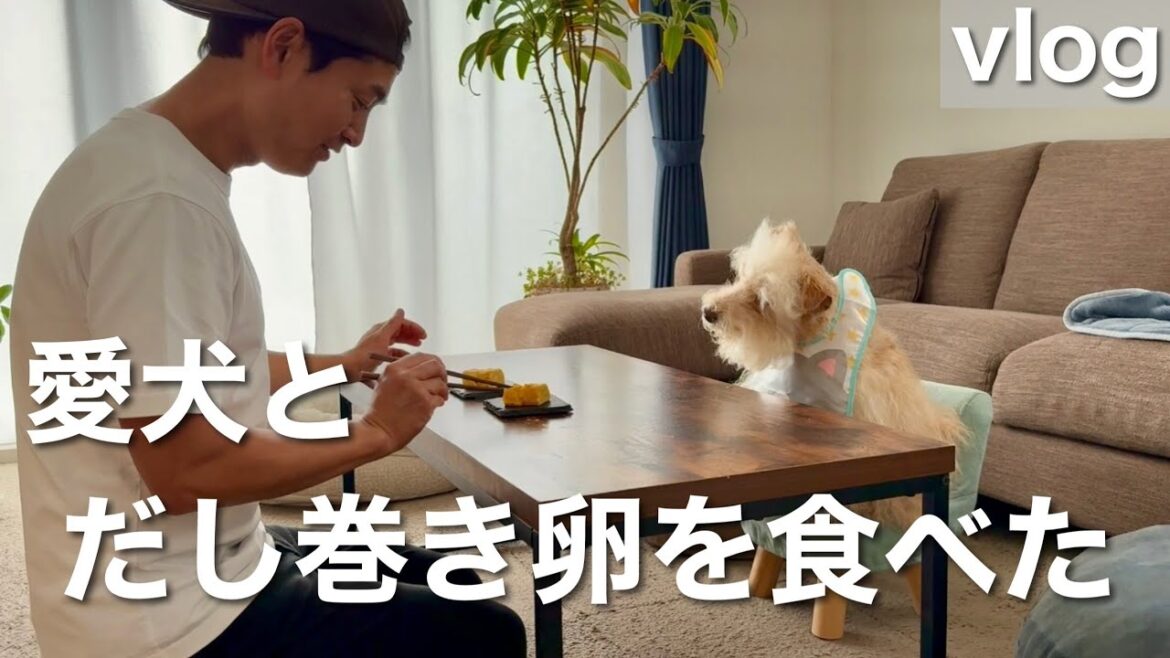 愛犬とだし巻き卵を一緒に食べた！