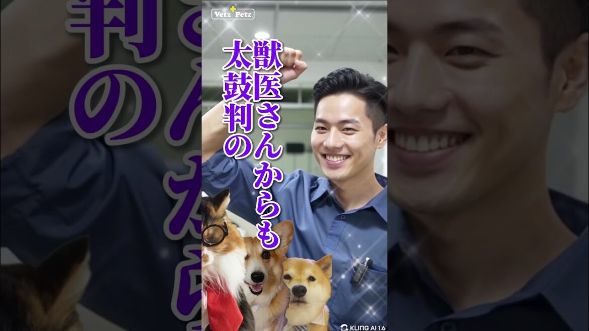 犬猫サプリの決定版！アンチノール®＋！#PR #ベッツペッツ #アンチノール #柴犬スティーブ