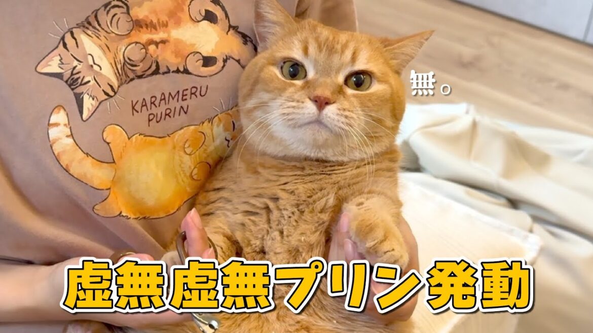 大嫌いな爪切りを乗り切る新技を身につけた猫がすごすぎた！w