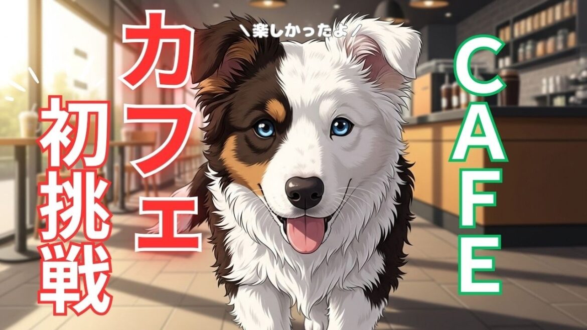 【カフェデビュー】生後100日のボーダーコリーの初カフェ体験が可愛すぎる! 【カフェデビュー】生後100日のボーダーコリーの初カフェ体験が可愛すぎる!