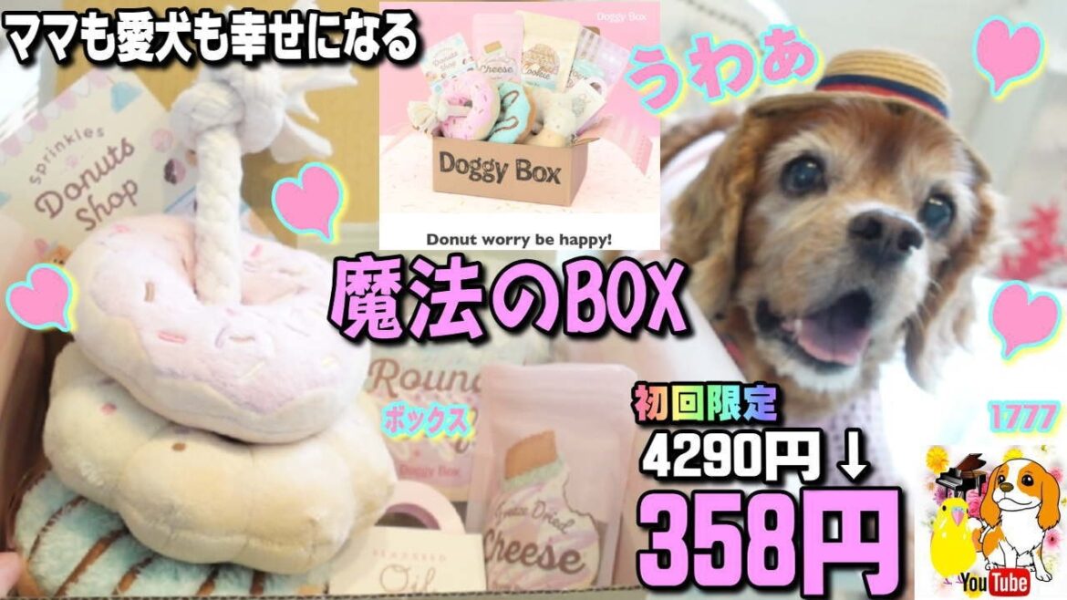 【Doggy Box】愛犬もママも幸せな気持ちになる魔法の箱!可愛いオモチャ、オヤツの開封紹介❤ 【Doggy Box】愛犬もママも幸せな気持ちになる魔法の箱!可愛いオモチャ、オヤツの開封紹介❤