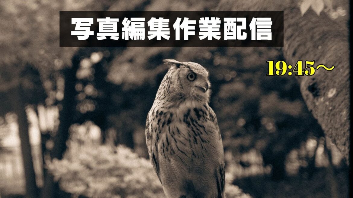 小一時間だけ写真編集作業配信