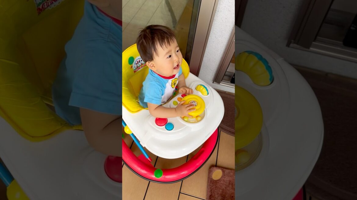 小さな侵略者👶🏻‼️ #赤ちゃん #1歳 #baby #保護猫 #ロシアンブルー #cat 小さな侵略者👶🏻‼️ #赤ちゃん #1歳 #baby #保護猫 #ロシアンブルー #cat