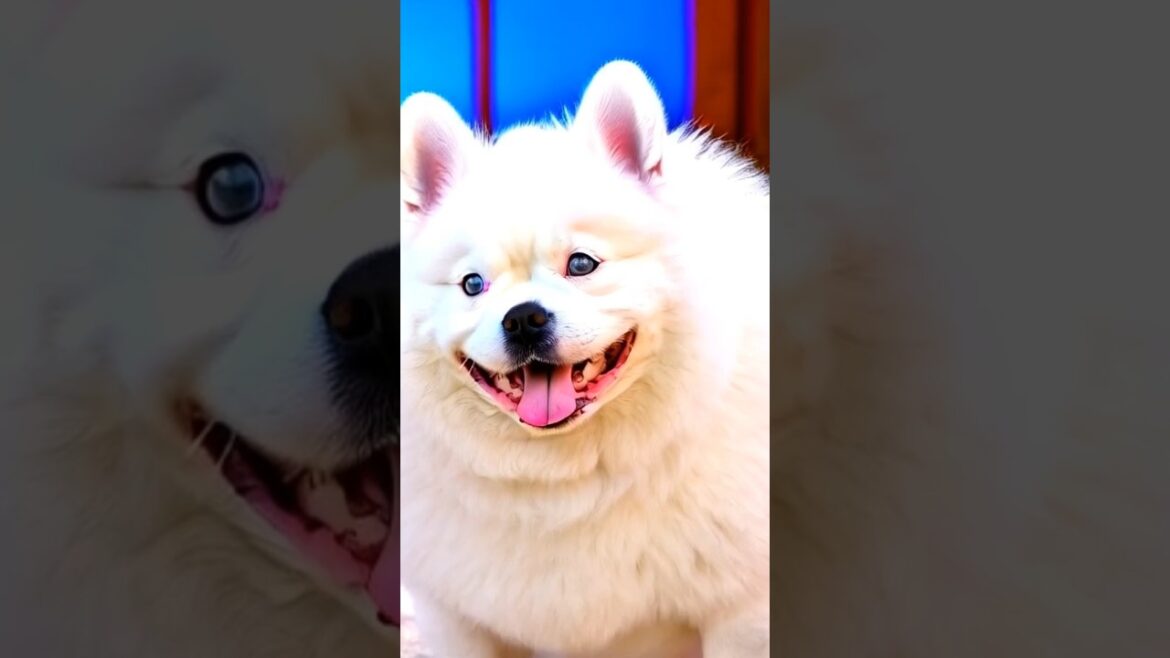 Top 5 Dog Breeds For First-Time Owners #dogshorts