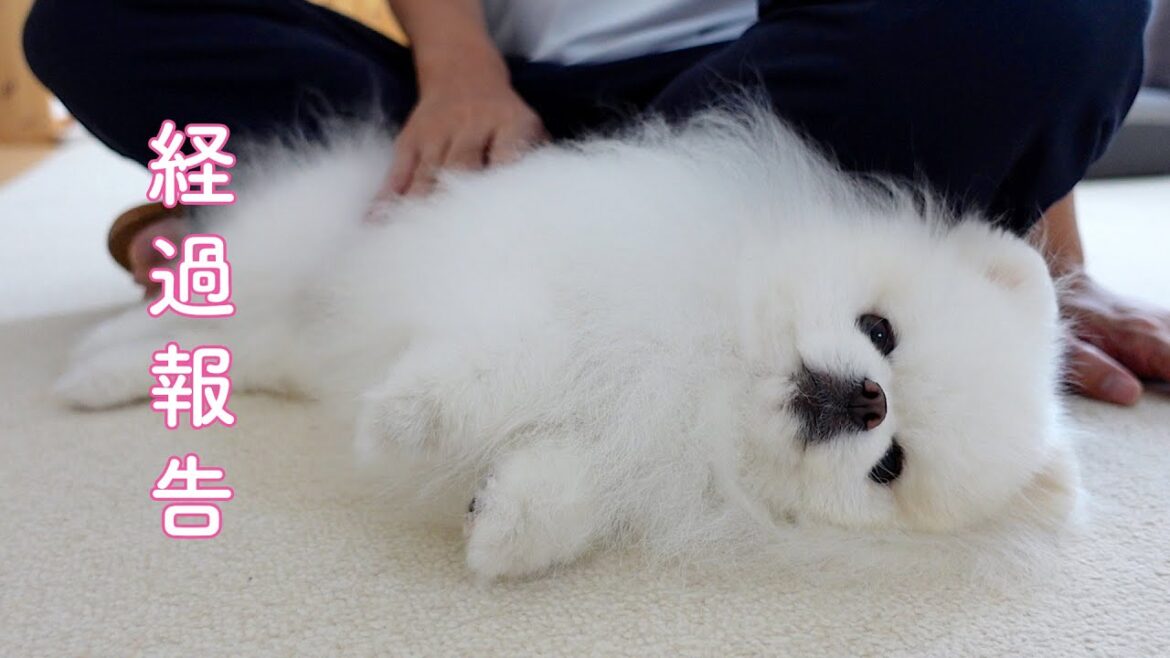 【経過報告】治療を始めて1ヶ月が経ちました 【経過報告】治療を始めて1ヶ月が経ちました