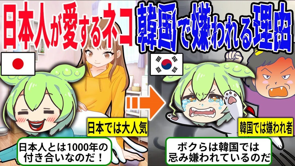 日本「猫大好き!」韓国「猫は大嫌い!」韓国で猫を見かけない理由とは?また日本人と猫の関係とは【ずんだもん&ゆっくり解説】 日本「猫大好き!」韓国「猫は大嫌い!」韓国で猫を見かけない理由とは?また日本人と猫の関係とは【ずんだもん&ゆっくり解説】
