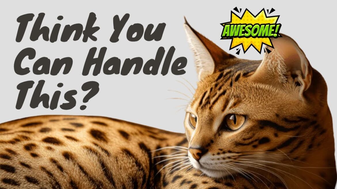 オシキャット種はどれくらい珍しいのでしょうか?