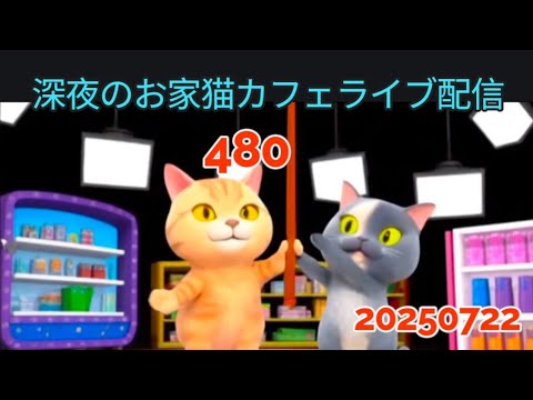 深夜のお家猫カフェライブ配信 480 深夜のお家猫カフェライブ配信 480