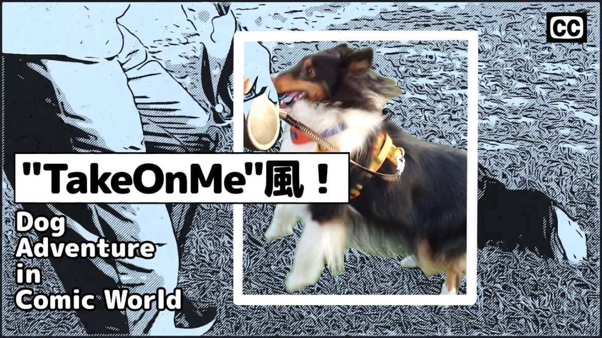 Take On Me風MVで描く、シェルティーと飼い主の不思議な散歩 Take On Me風MVで描く、シェルティーと飼い主の不思議な散歩