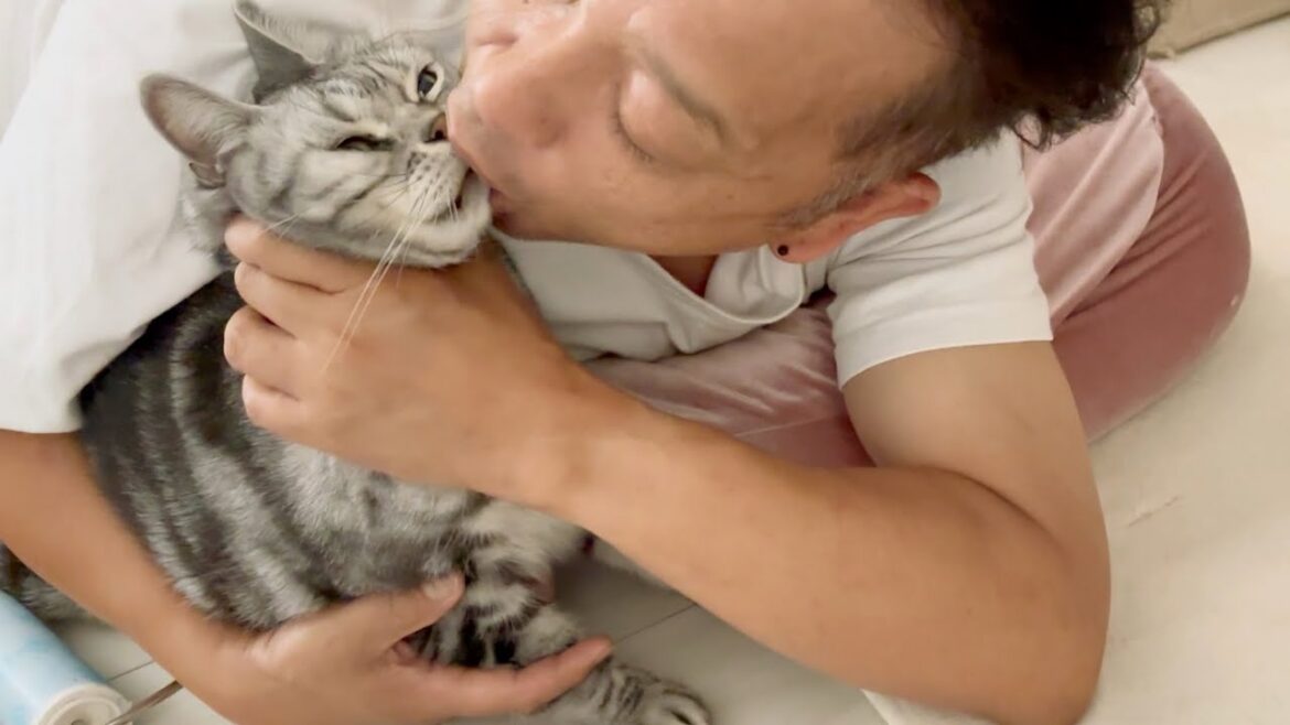 【先住猫のキモチ】オヤジ臭なんぞ慣れたもんや〜😈