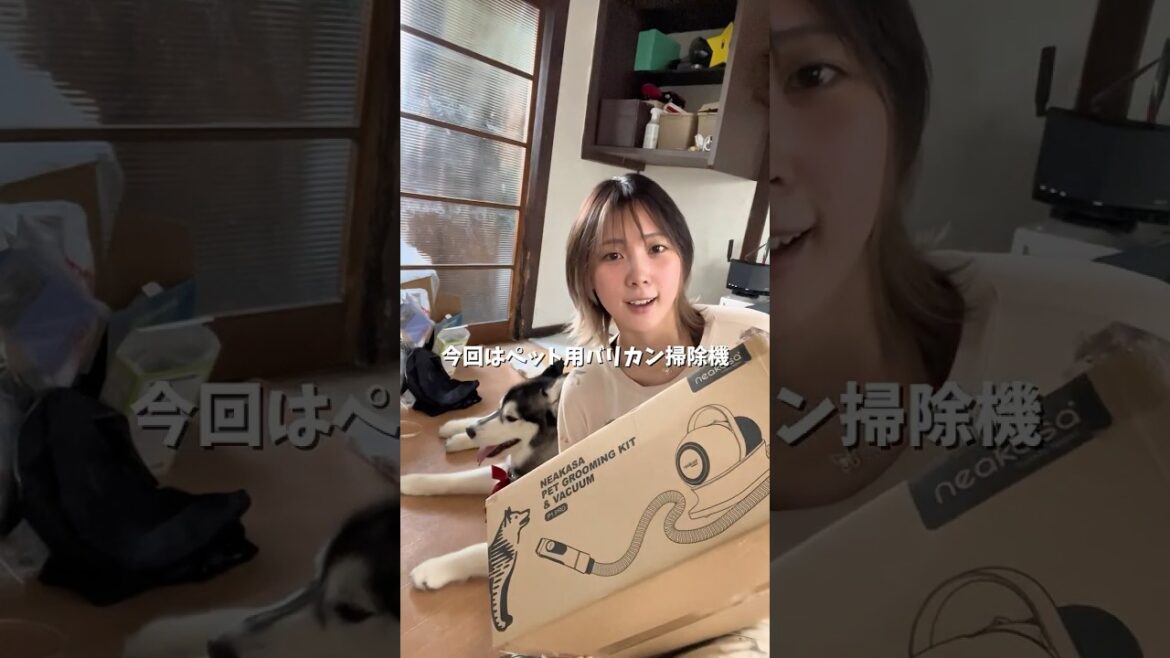 気になる人はプロフィールからチェック☑️  #NEAKASA #ネアカサ　#NEAKASAP1 #ペット犬用バリカン掃除機　#ハスキー #章末​⁠@NeakasaJapan