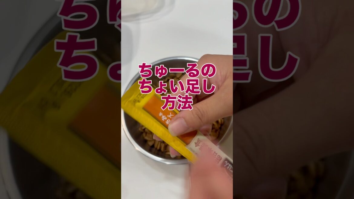 ちゅーるの賢い ちょい足し方法 #かわいい犬 #シベリアンハスキー #ちゅーる #ドッグフードトッピング