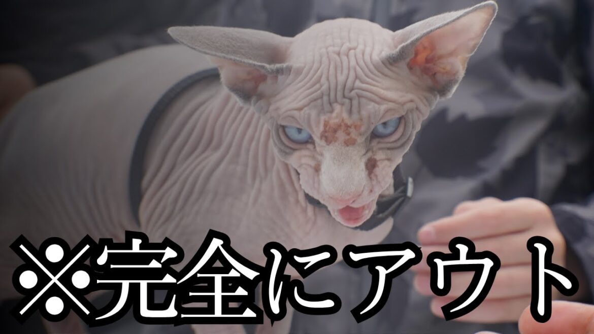 スフィンクスが変態すぎる