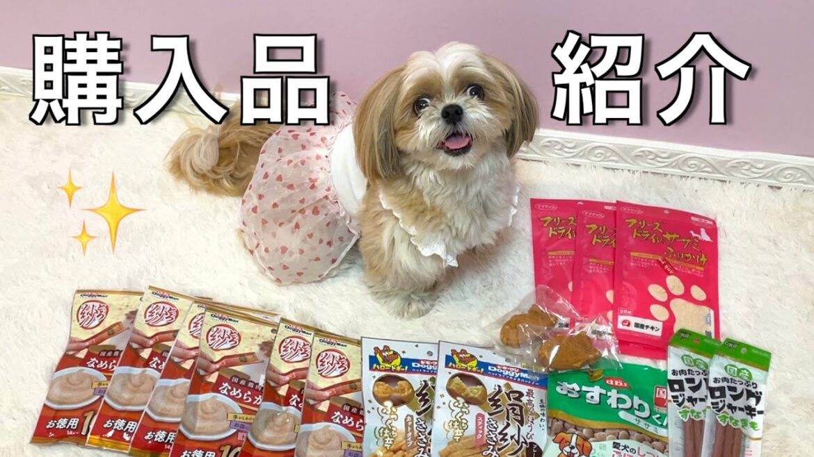 【シーズー】ななちゃんの大好きなおやつをまとめ買い🐶