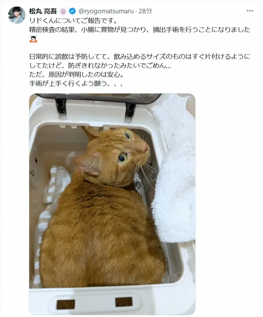 松丸亮吾 愛猫の手術が成功したことを報告 小腸から出てきたのは…「ちゃんと精密検査に行って良かった」 – スポニチ Sponichi Annex 芸能 松丸亮吾 愛猫の手術が成功したことを報告 小腸から出てきたのは…「ちゃんと精密検査に行って良かった」 - スポニチ Sponichi Annex 芸能