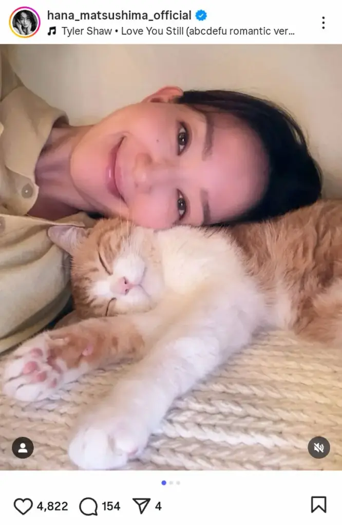 松島花　熟睡する愛猫と癒やし時間、嫌がるお手入れも「成功」、ファンもん絶「ほっこり」「最高の時間」 - スポニチ Sponichi Annex 芸能