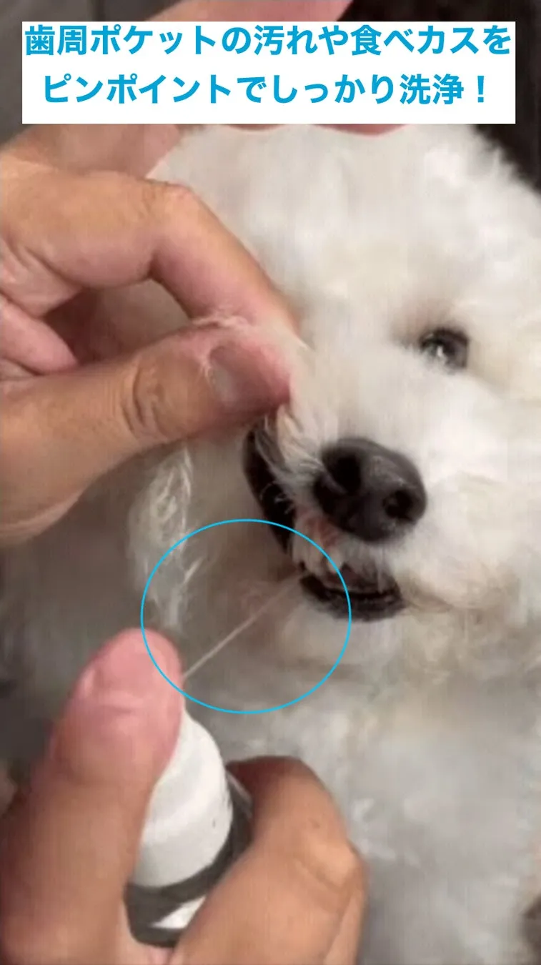 OZOジェットストリーム使用イメージ