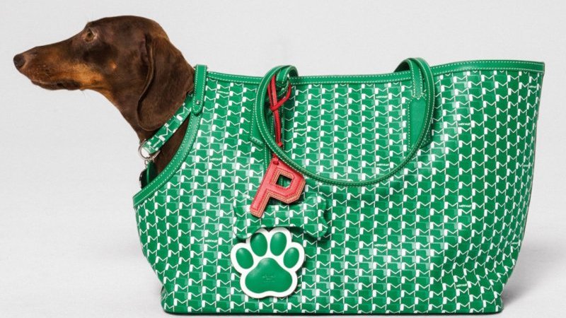 モワナのMキャンバスにペット専用ラインが誕生! 伊勢丹新宿店で7日間限定のポップアップが開催中|Pen Online モワナのMキャンバスにペット専用ラインが誕生! 伊勢丹新宿店で7日間限定のポップアップが開催中|Pen Online