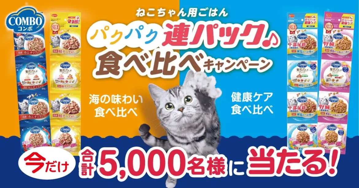 猫の日2025：イエローハット「全国交通にゃん全運動」開催！保護猫譲渡会＆猫パンチ募金