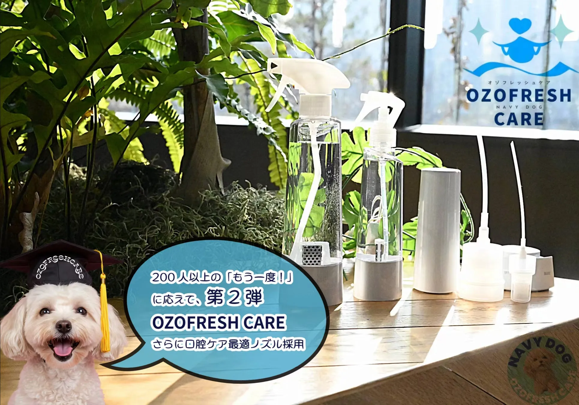 オゾフレッシュケア