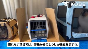 ガイドライン動画版3