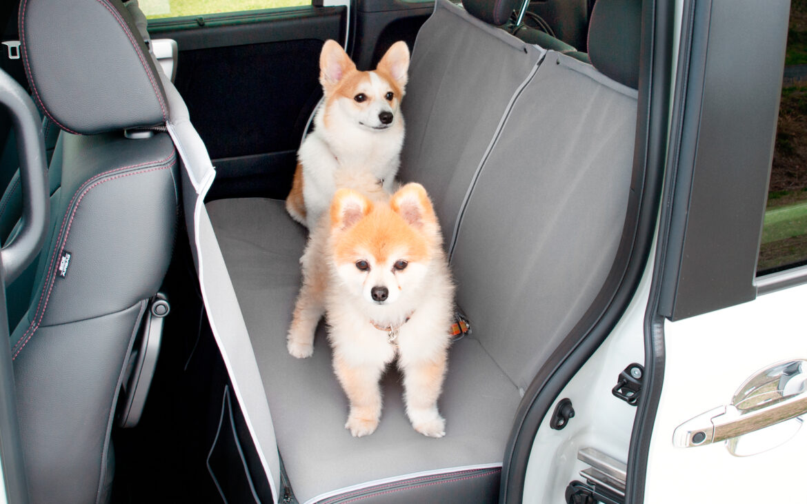 ホンダアクセス、20周年を迎えた愛犬家応援ブランド「Honda Dog」がアウトドアドッグフェスタin八ヶ岳2025に出展 - Car Watch