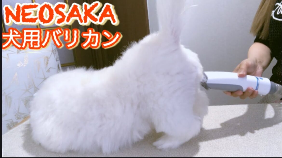 NEOSAKA犬用バリカンペキニーズ(犬)