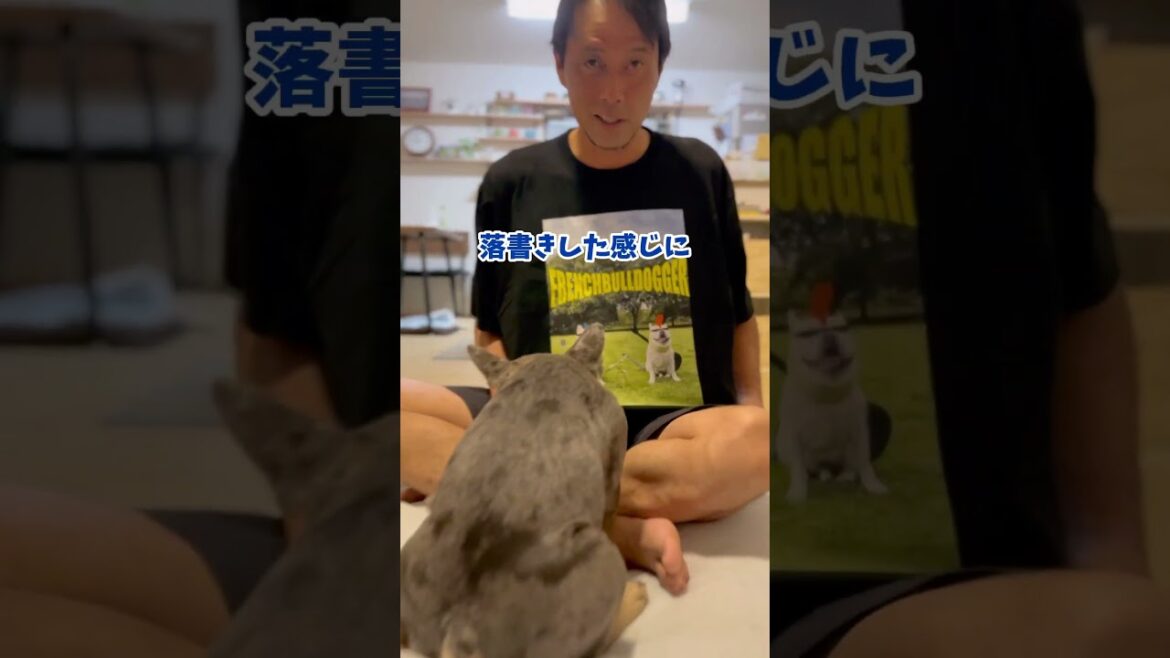 【お知らせ】Ｔシャツ作ってみました！ #shorts