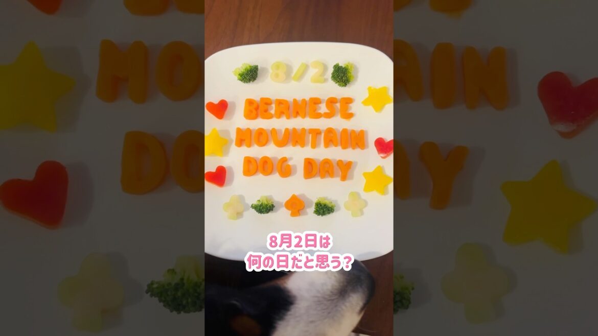 8月2日はバニの日‼️ニンジンで祝ってみたよ🥕