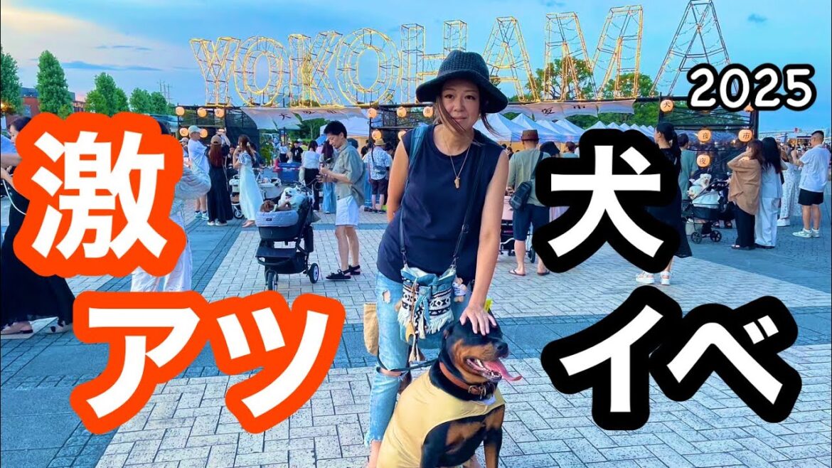 絶対行くべきドッグイベント【犬夜市】【横浜】【赤レンガ】 絶対行くべきドッグイベント【犬夜市】【横浜】【赤レンガ】