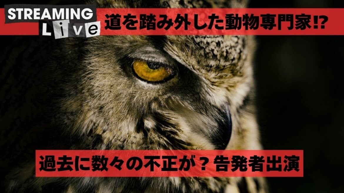 【パンク○○】動物界隈超有名人の過去の不正?告発者さんから話を聞きます 【パンク○○】動物界隈超有名人の過去の不正?告発者さんから話を聞きます