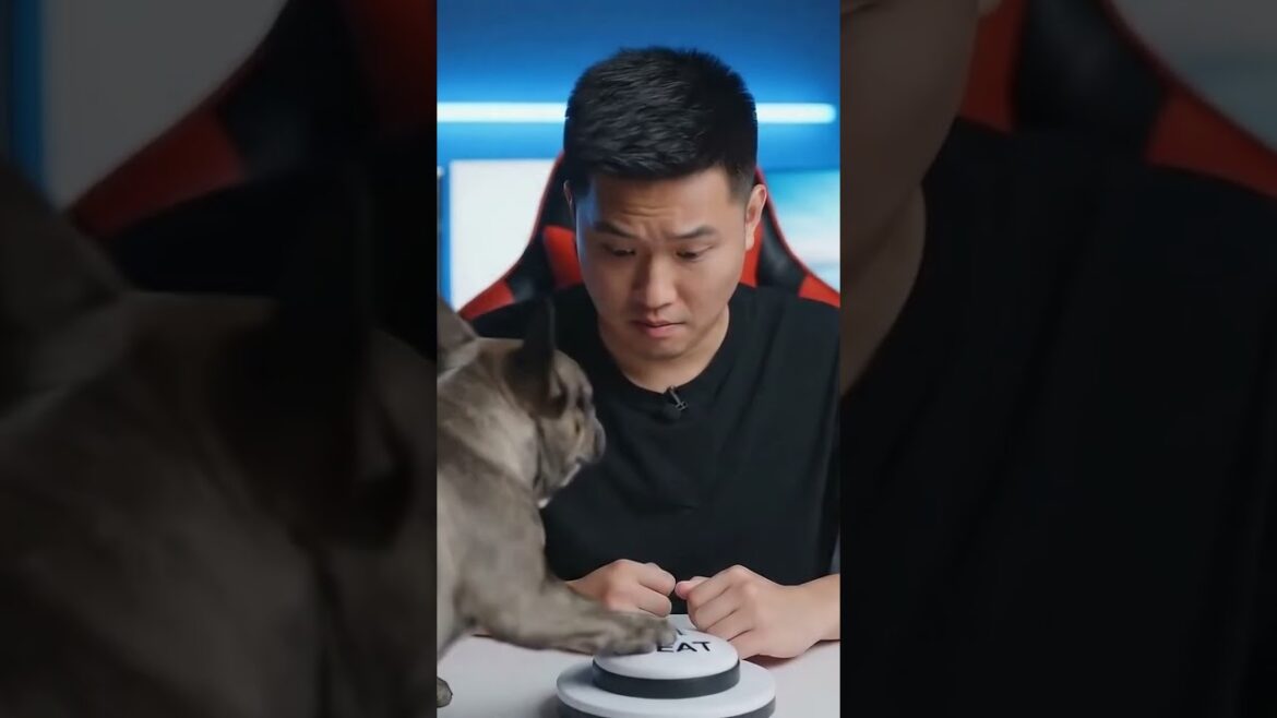 フレンチブルドッグはお父さんが働けるようにしません