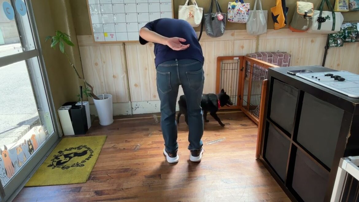 スキッパーキの”オセルくん”と”足輪ジャンプ”の練習！