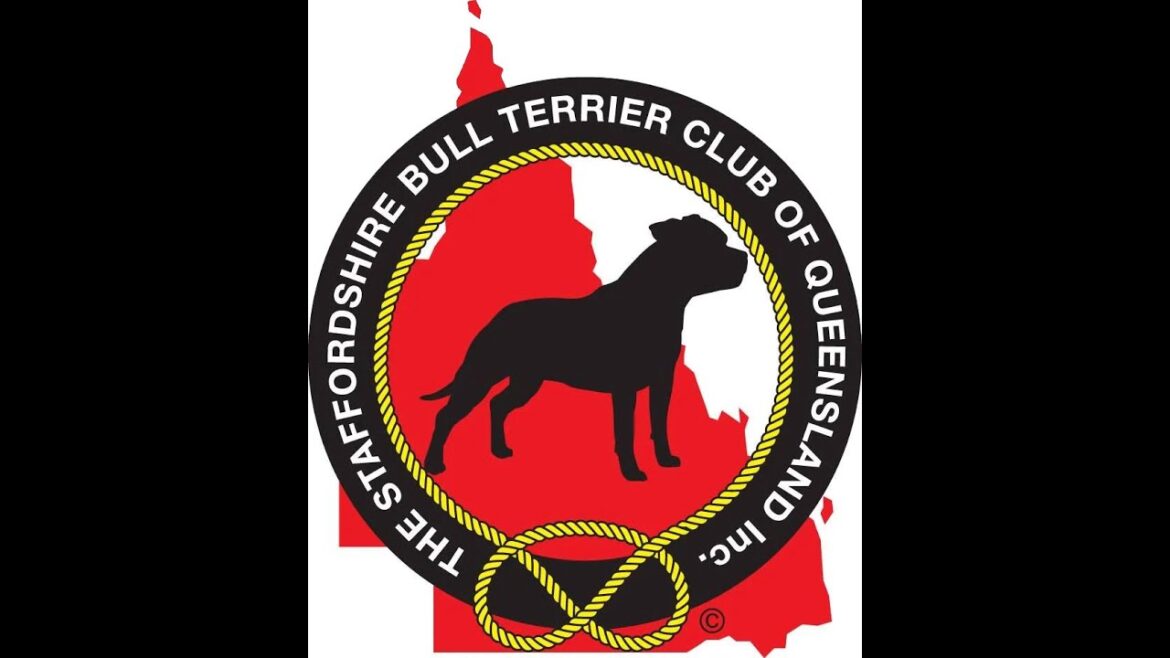 THE STAFFORDSHIRE BULL TERRIER CLUB OF QUEENSLAND INC 9 August 2025