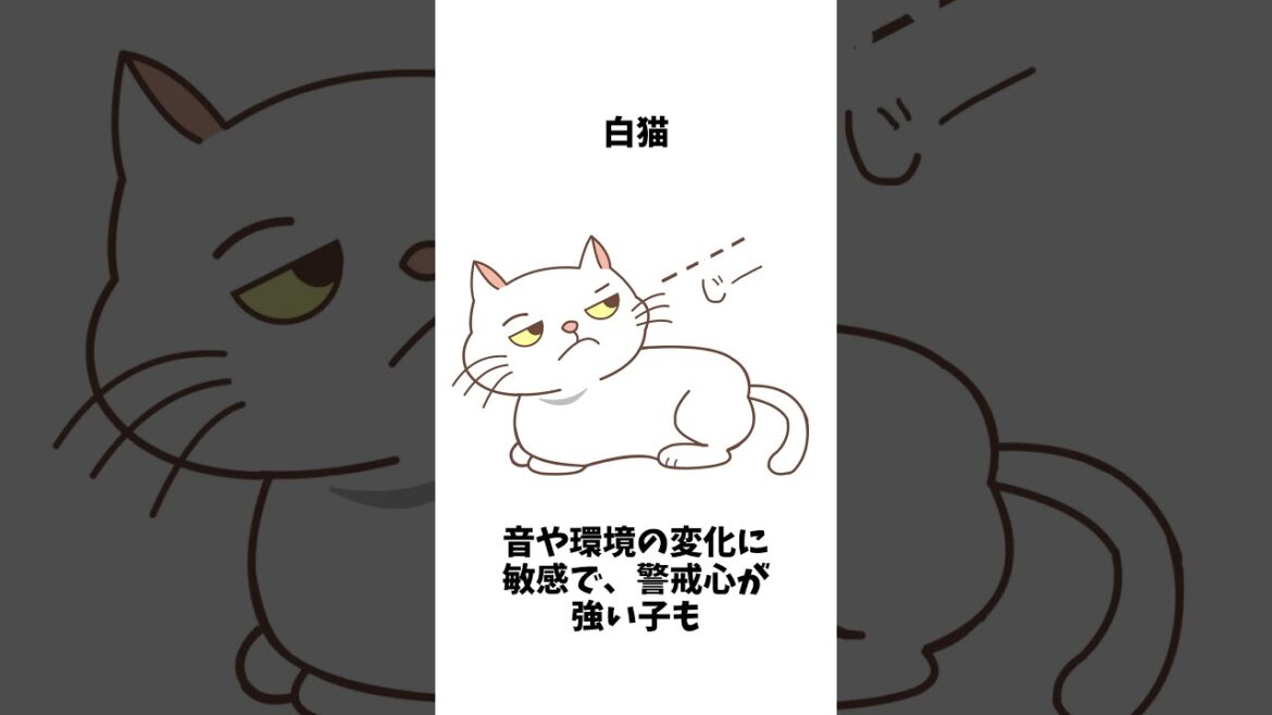 毛色で性格がわかる！？猫の“色”の不思議 #雑学 #プチ知識 #猫のいる暮らし #猫のいる生活