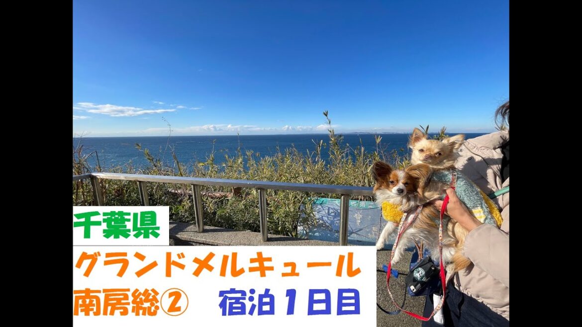 【犬と旅行】千葉県房総半島　「海ほたる」「鋸山」「グランドメルキュール南房総②宿泊１日目