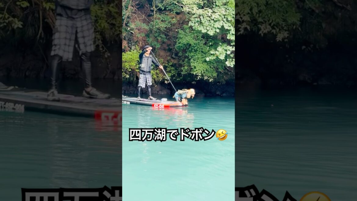 群馬県四万湖でSUP🏄優雅にスイスイ〜と思いきや⁉️ロイナイス〜👍 #アメリカンコッカースパニエル #cockerspaniel #わんこ連れSUP#いぬのいる生活 #アウトドア #アメコカ