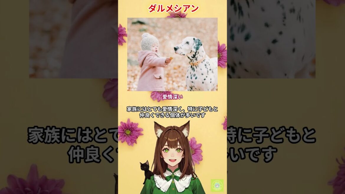 【ダルメシアン】の性格ってこんな感じ♪YouTubeでは歴史や飼い方のポイントなども解説しています。 #犬 #わんこラボ #ボストンテリア