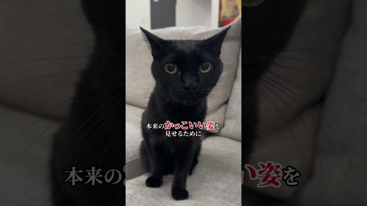 明けましておめでとう #happynewyear