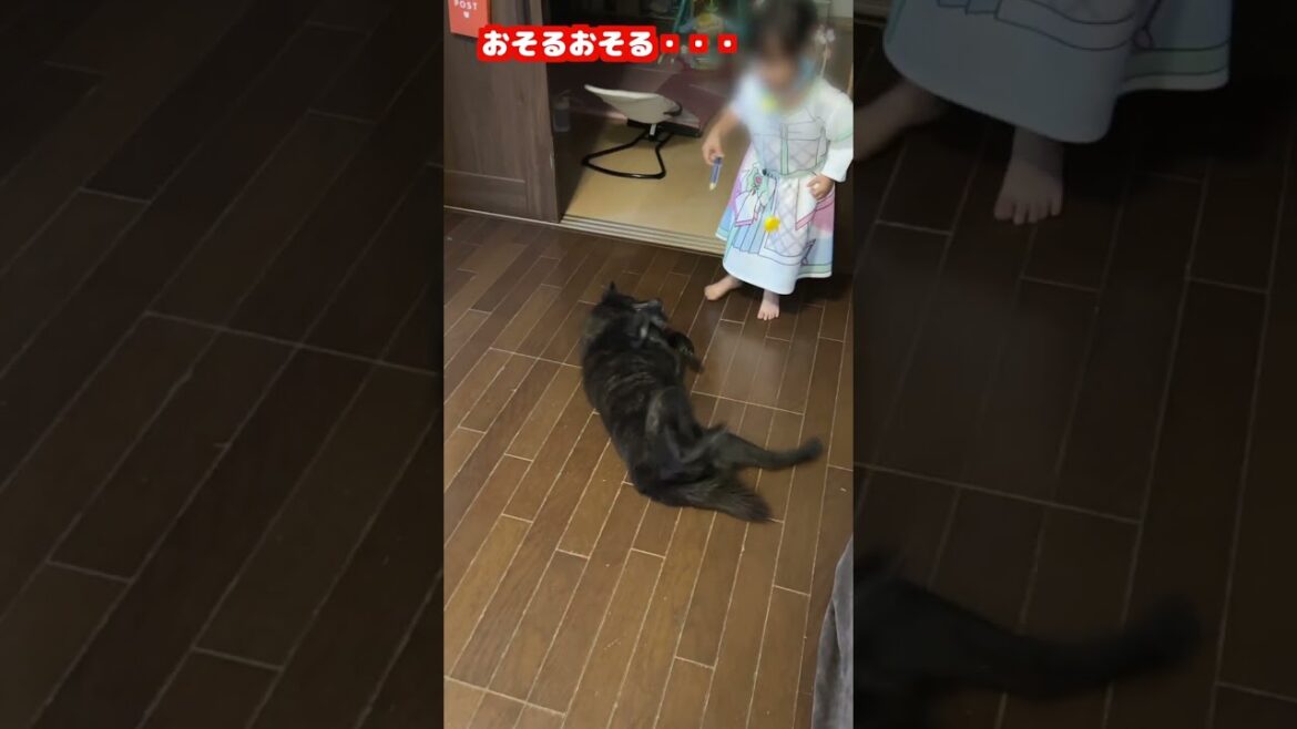 ３歳児のごっこ遊びに本気の甲斐犬 #日本犬 #甲斐犬 #こども