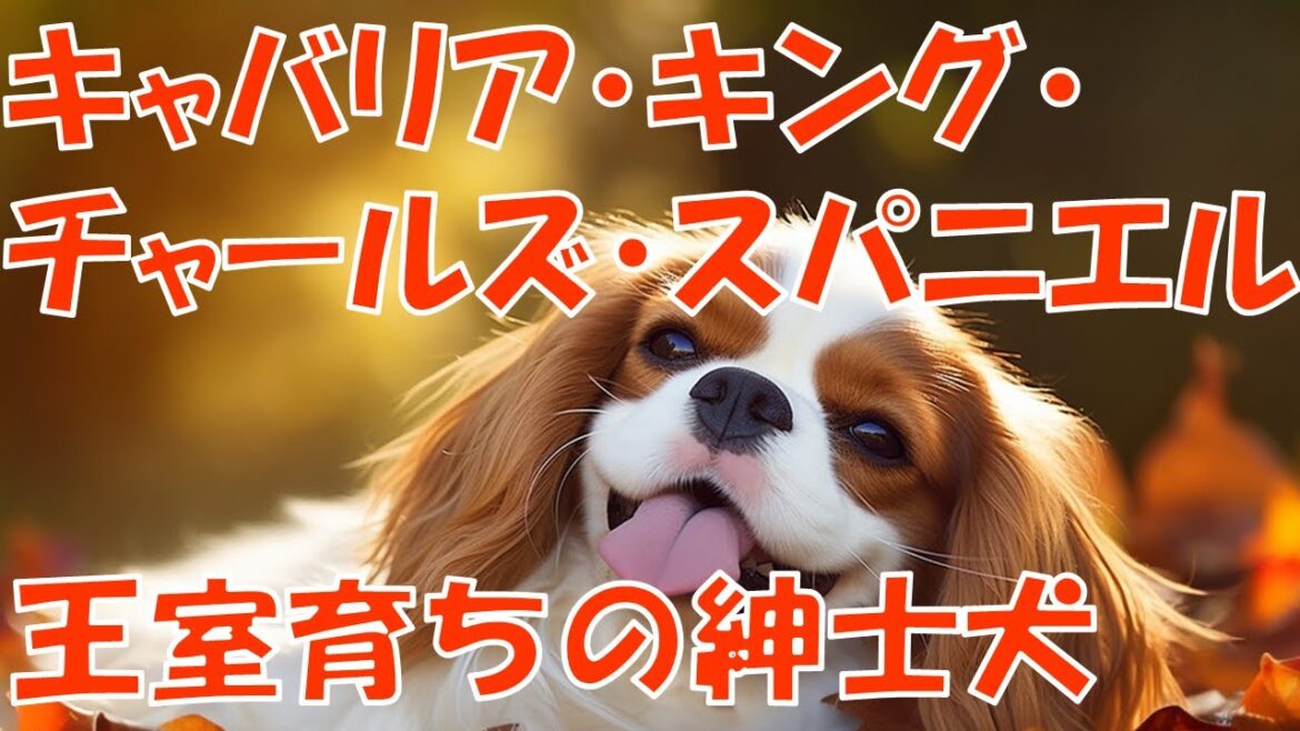 【キャバリア・キング・チャールズ・スパニエル】王室育ちの上品さを持つ小さな紳士犬