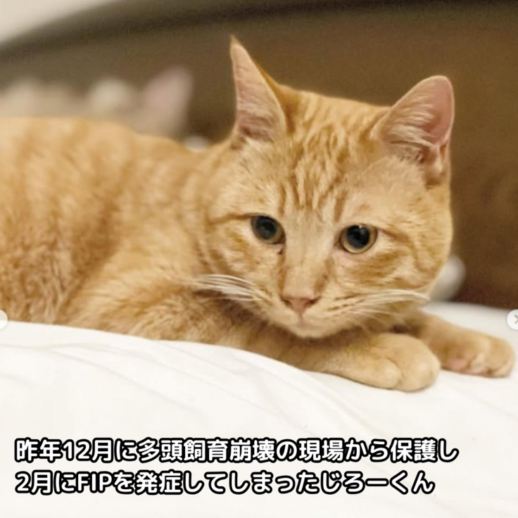 じろーくん