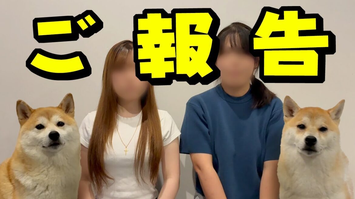 こまちく家族の娘めいについて皆さまへお知らせです