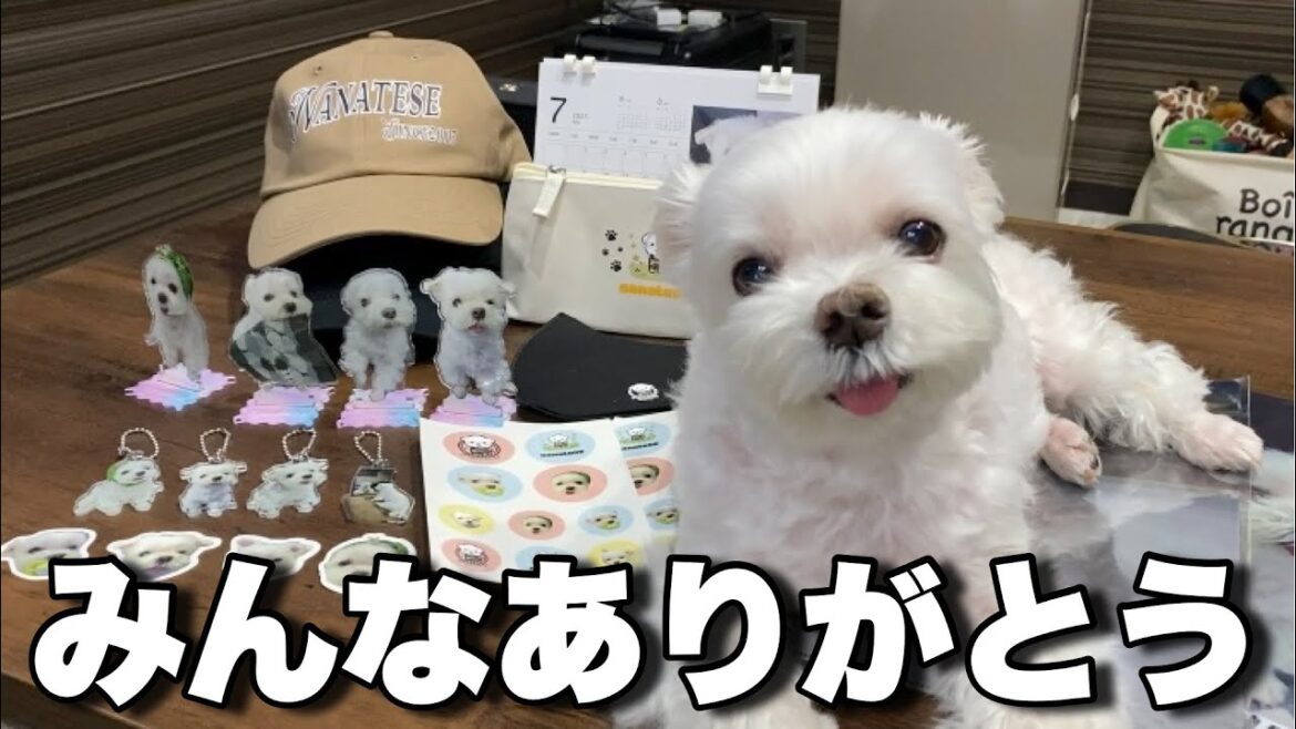 皆さんのおかげで愛犬の素敵な宝物が誕生しました