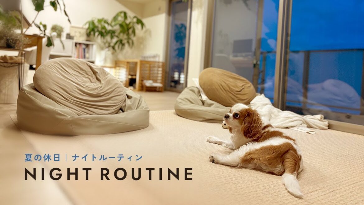[ 犬×夫婦 ナイトルーティン ] 犬とたっぷり遊ぶ夏の夜｜毎日のお手入れ🐶｜夜更けのマック｜lifewithdog