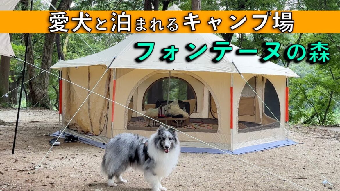 【つくばフォンテーヌの森】愛犬と泊まれるキャンプ場